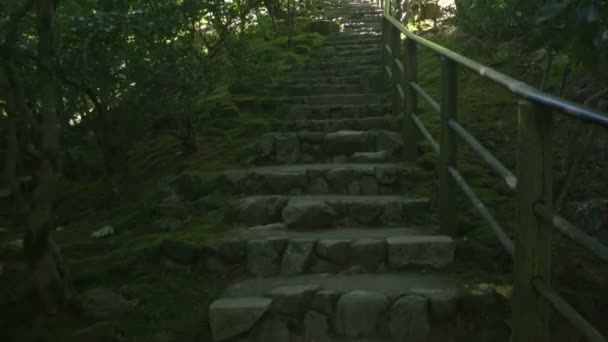 Vista Una Escalera Piedra — Vídeos de Stock