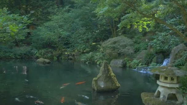 Lago Jardim Japonês Portland — Vídeo de Stock