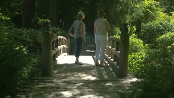 Turisti Nel Giardino Giapponese — Video Stock