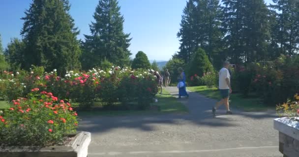 Gül Bahçesi Portland Oregon Daki Insanlar — Stok video