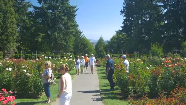 Lidé Navštěvující Růžovou Zahradu Portlandu — Stock video