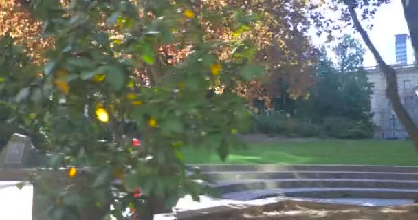 Pioneer Courthouse Square, Portland — Stock Footage Pioneer Courthouse Square Portland Royalty Free Stock Video