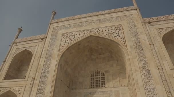 Dönthető Kilátás Egy Része Taj Mahal — Stock videók