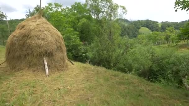 牧草地の干し草による車の運転 — ストック動画