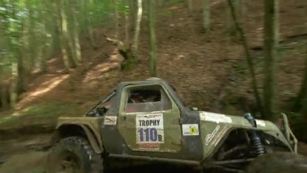 Carro Dirigindo Uma Fonte Água Floresta — Vídeo de Stock