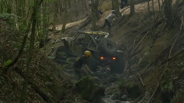 森の中を運転するオフロード車 — ストック動画