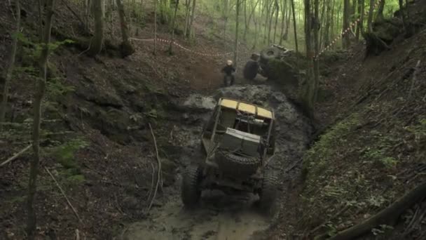 Offroad Auto Rijden Het Bos — Stockvideo