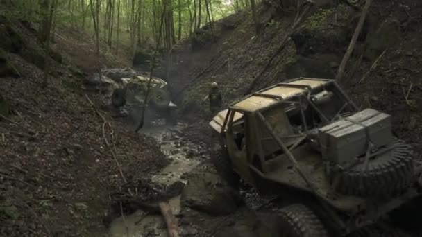 Two Offroad Cars Driving Forest — Stock Video