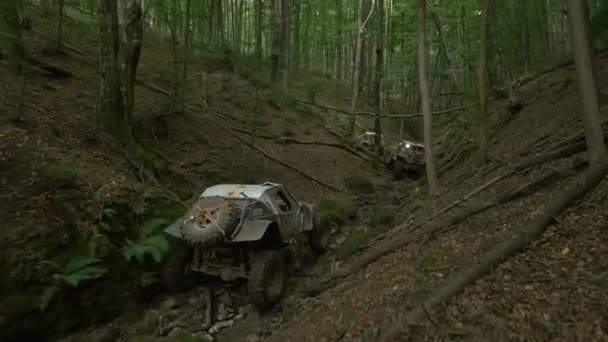 在森林里开车的汽车 — 图库视频影像