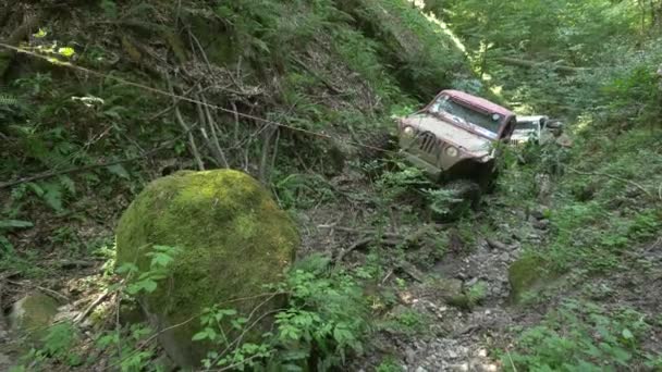 Samochód Holowany Nad Skałami Lesie — Wideo stockowe