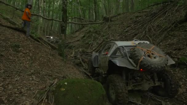 Pessoa Assistindo Carros Andando Floresta — Vídeo de Stock