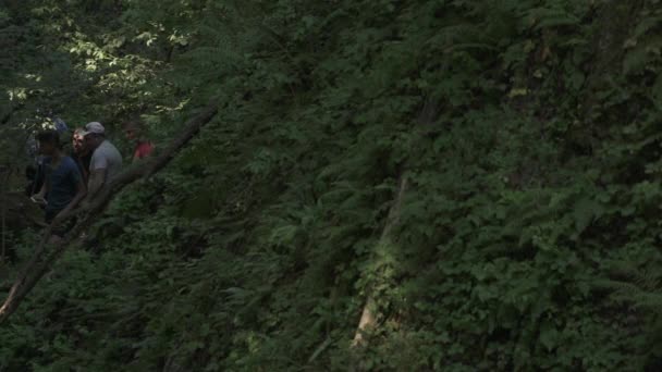 Ormanda Bir Aracı Izleyen Insanlar — Stok video