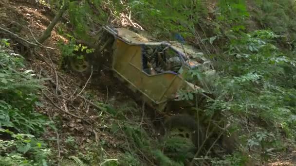 Véhicule Roulant Sur Monticule Dans Forêt — Video