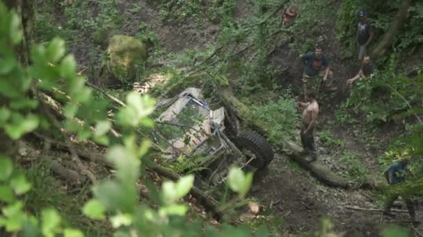 Coche Atrapado Entre Troncos Árbol — Vídeos de Stock