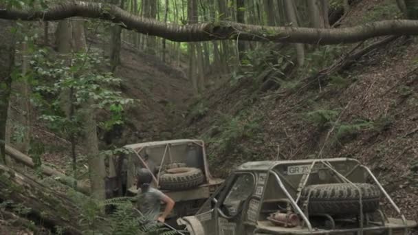 Árbol Tronco Caído Por Encima Los Coches Offroad Bosque — Vídeos de Stock