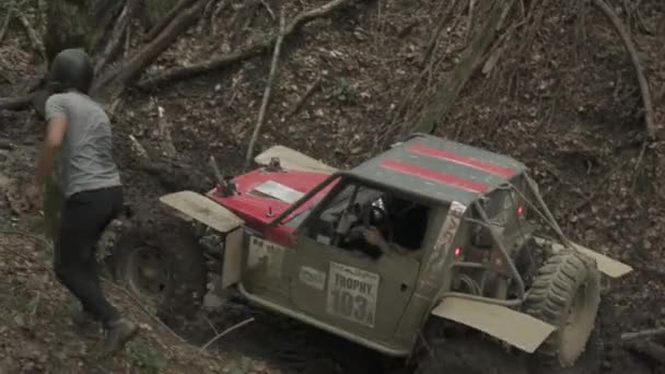 Άνθρωπος Και Αυτοκίνητα Στο Δάσος — Αρχείο Βίντεο