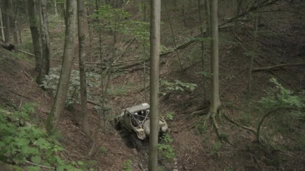在森林里的小径上驾驶越野车 — 图库视频影像