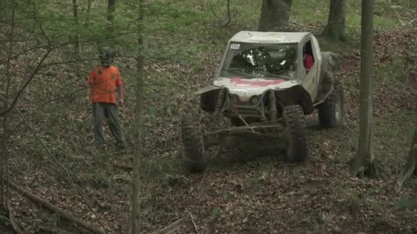 Coches Todo Terreno Conduciendo Bosque — Vídeo de stock