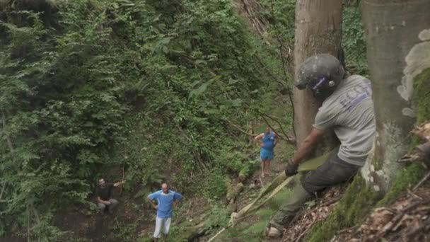 Veículo Capotado Floresta — Vídeo de Stock