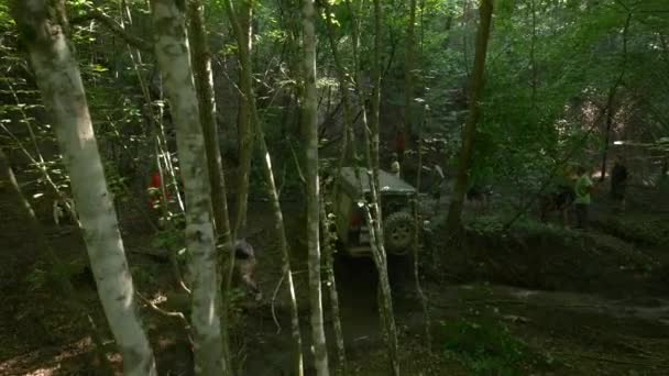 Samochód Offroad Przejeżdżający Przez Wąwóz Lesie — Wideo stockowe