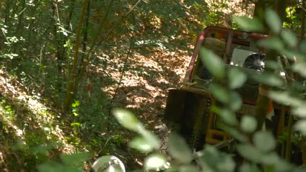 车辆在森林中越野活动中驾驶 — 图库视频影像