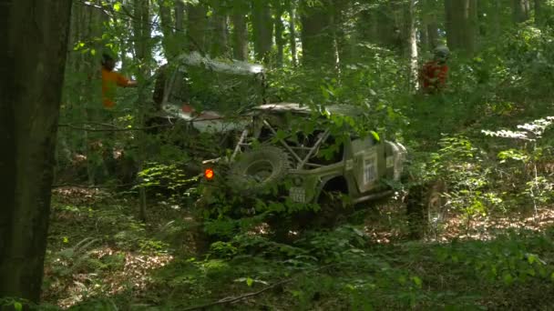 Две Машины Застряли Лесу — стоковое видео