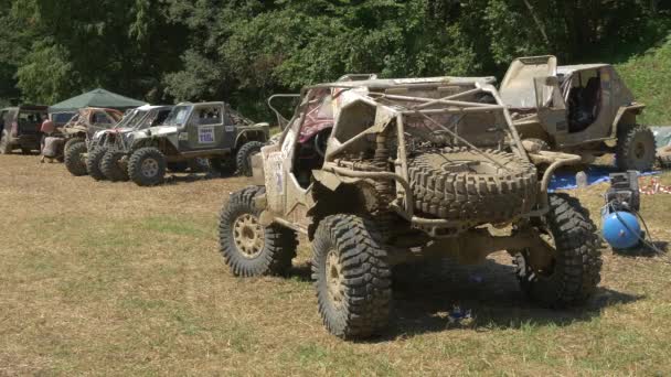 Car Parked Meadow — Stock Video