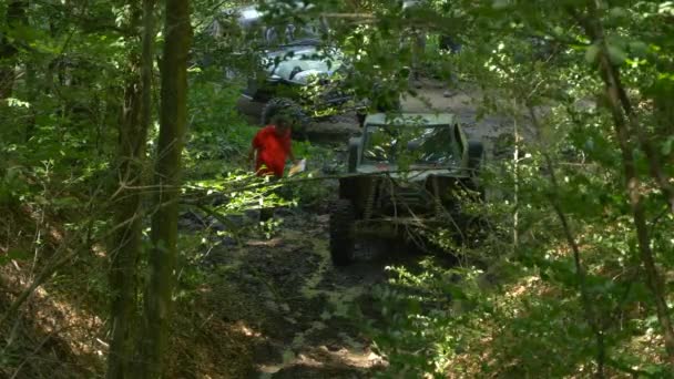 Offroad Autos Wald — Stockvideo
