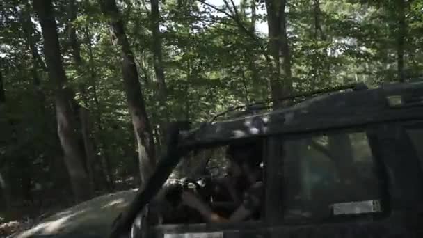 在森林里开车的陆虎和其他车辆 — 图库视频影像