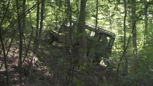 Homme Aide Une Voiture Passer Dessus Des Branches Arbres — Video