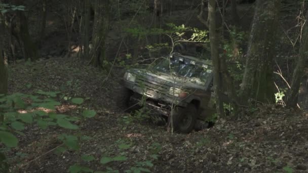 Land Rover Lyckas Sig Ravin — Stockvideo