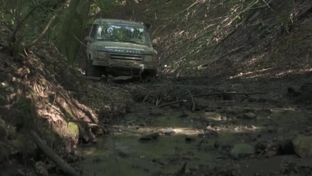 Land Rover Vezet Egy Szakadékban Erdőben — Stock videók