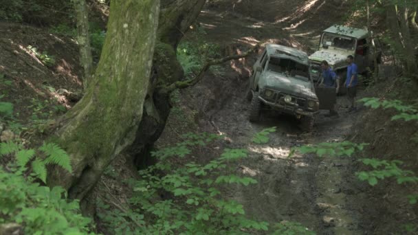 Remolcando Coche Todoterreno Bosque — Vídeos de Stock