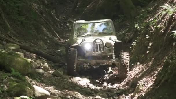 Coche Todoterreno Conduciendo Por Sendero Bosque — Vídeo de stock