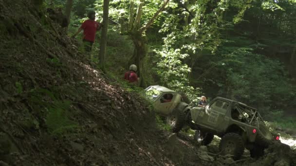 峡谷里的车和森林里的人 — 图库视频影像