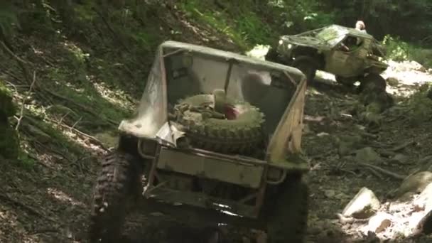 在峡谷里开车的汽车 — 图库视频影像