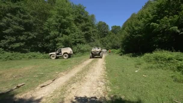 Offroad Auta Jedoucí Silnici Lesa — Stock video