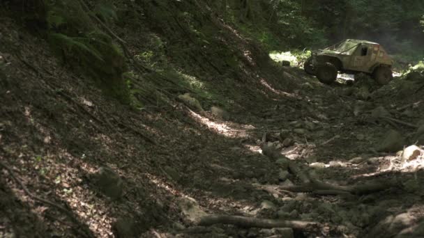 Samochód Offroad Utknął Wąwozie — Wideo stockowe