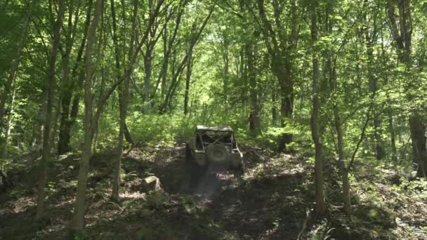 Geländewagen Fährt Über Erdhügel Wald — Stockvideo