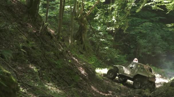 Offroad Carro Tentando Escalar Uma Ravina Floresta — Vídeo de Stock