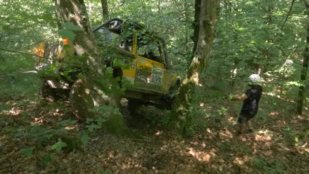 Voiture Jaune Coincée Entre Les Arbres — Video