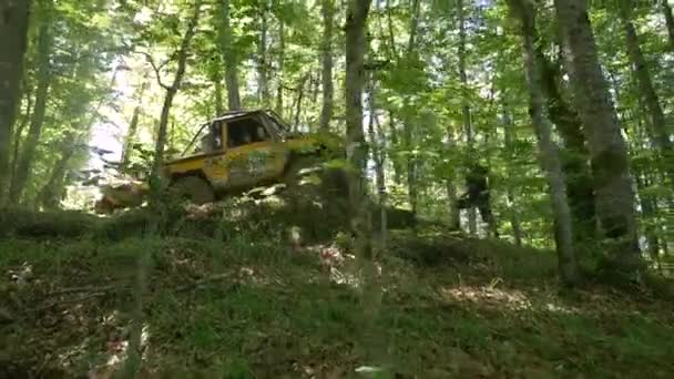 在森林里看到的黄色越野车 — 图库视频影像