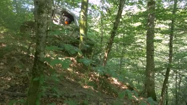 Автомобіль Намагається Прорватися Крізь Ліс — стокове відео