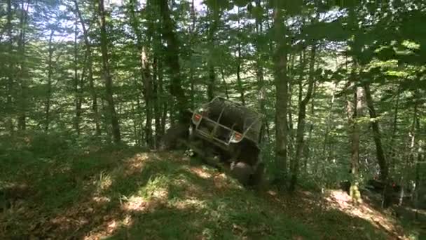 在森林里 越野车在崎岖的小径上行驶 — 图库视频影像