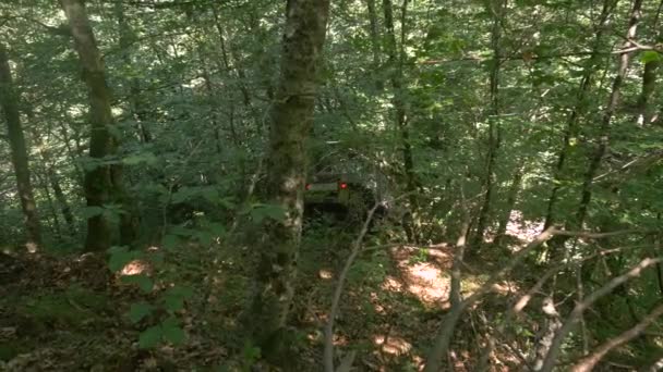 Autó Beragadt Erdőbe — Stock videók