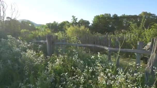Offroad Auta Jedoucí Blízkosti Zahrady — Stock video