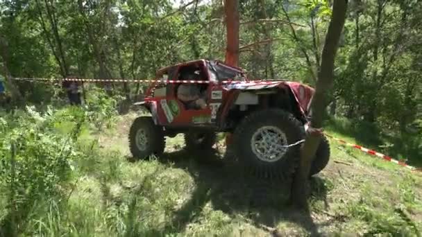 Voiture Rouge Coincée Dans Tronc Arbre — Video