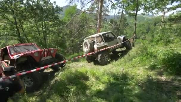 Coches Todoterreno Que Conducen Una Pista Forestal Marcada — Vídeo de stock