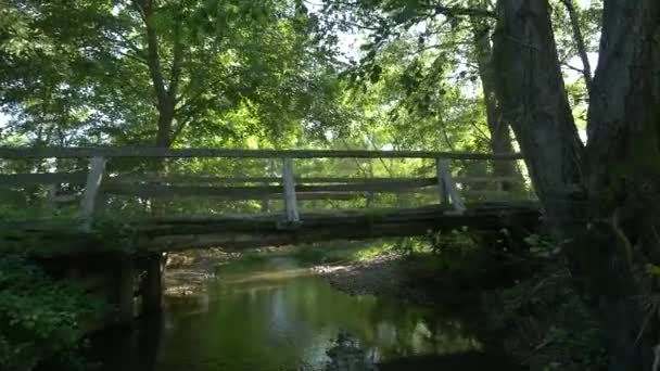 Autó Vezet Egy Hídon Erdőben — Stock videók
