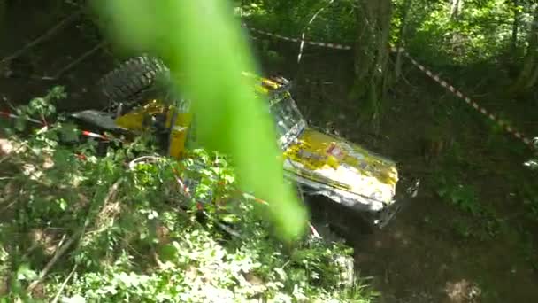 Coche Amarillo Todoterreno Conduciendo Bosque — Vídeo de stock